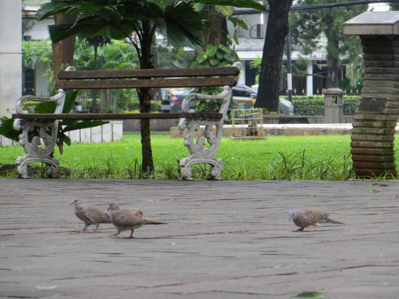 Barkah Place Jakarta Exteriör bild